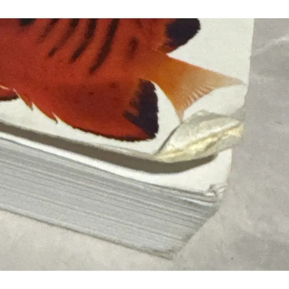 The Marine Aquarium Mini Encyclopedia Series for Aquarium Hobbyists Paperback